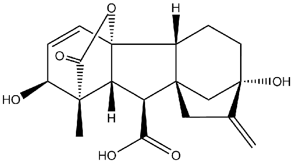 赤霉素GIBBERELLIC ACID，居然有這么神奇？